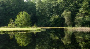 Van Wijnen_Diepstroeten_03